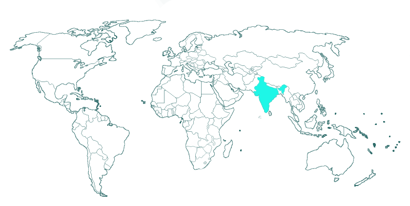 1000 piece puzzle - India