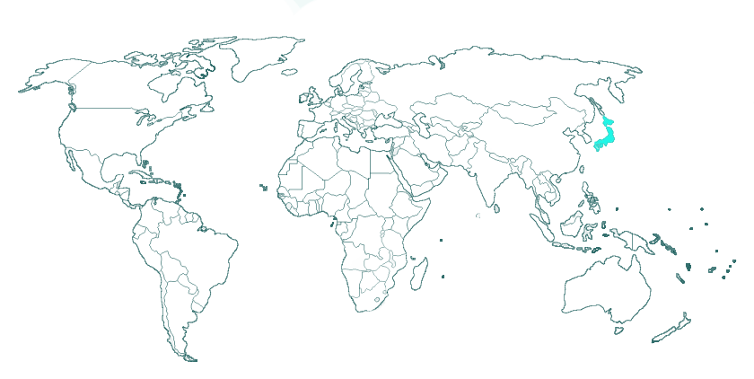 1000 piece puzzle - Japan