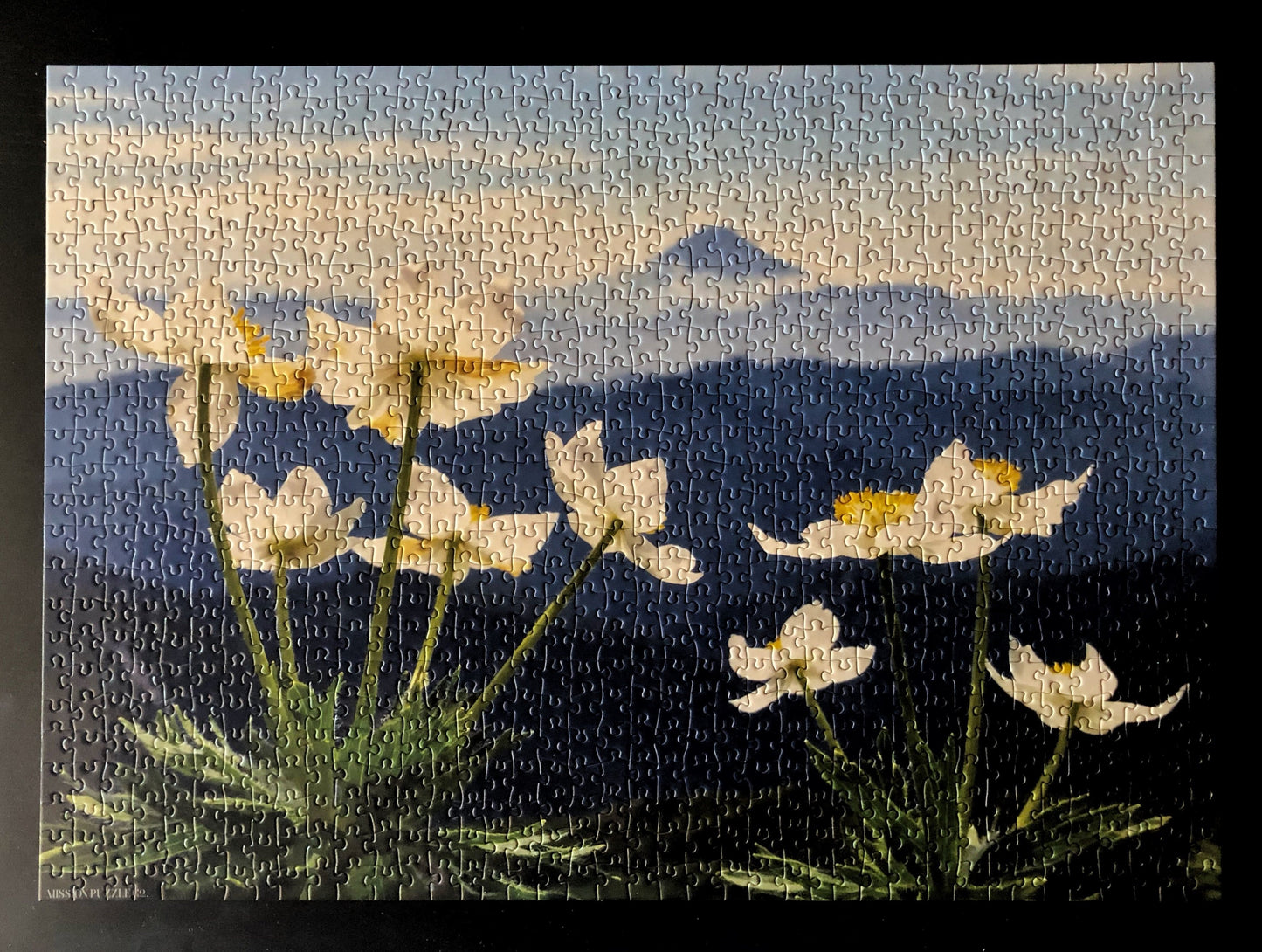 1000 piece puzzle - Japan